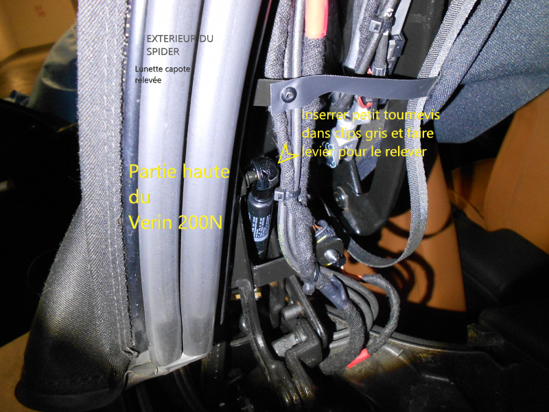 DSCN1637 - Copie.JPG333.png