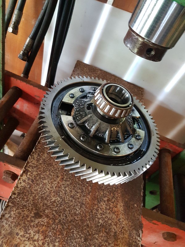 WhatsApp Image 2018-03-25 at 12.49.27.jpeg