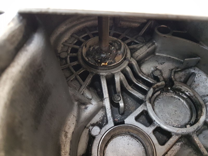 WhatsApp Image 2018-03-24 at 10.39.09.jpeg